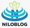 مهندس مهدی عامری